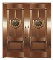 DC-013T Fireproof door