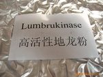 lumbrokinase