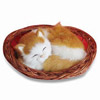 Plush Cat