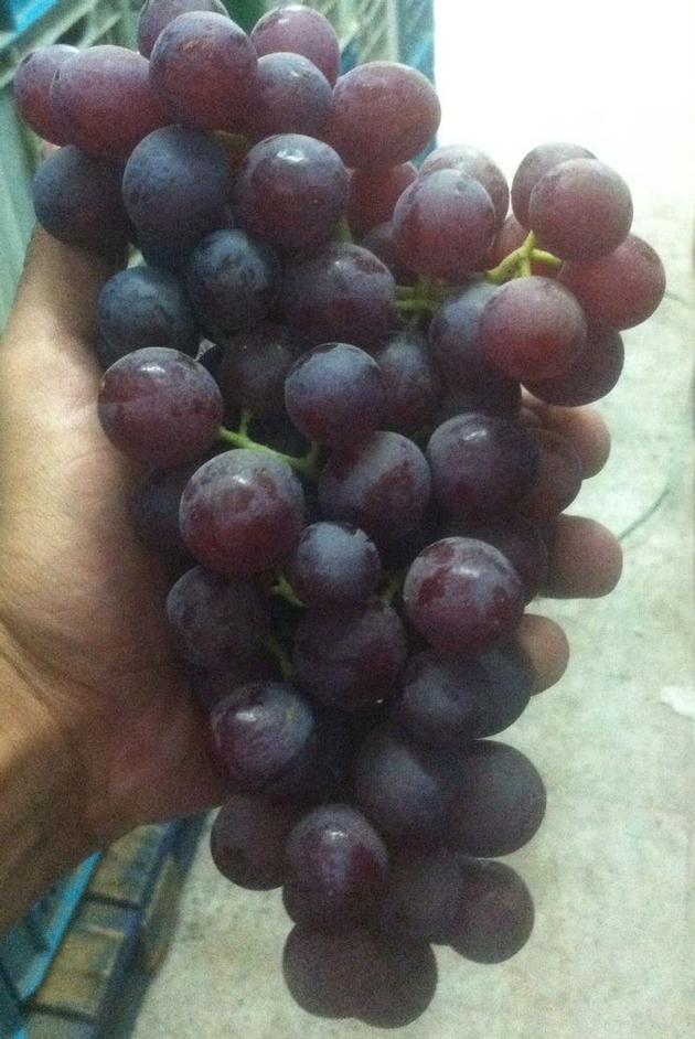 Grapes