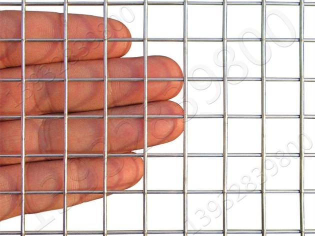 Metal Wire Mesh