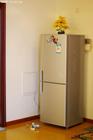 Offer Home Appliances Inspection