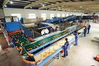 Offer Pre-production Inspection