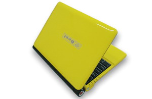 10.2 Inch UMPC
