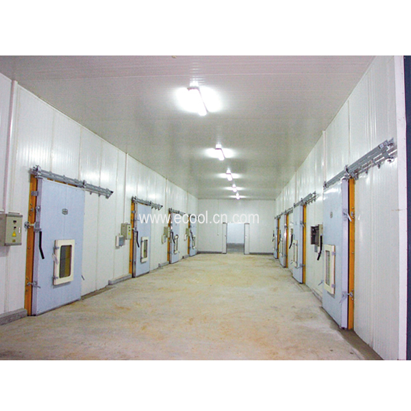 Large Logistics And Distribution Cold Storage