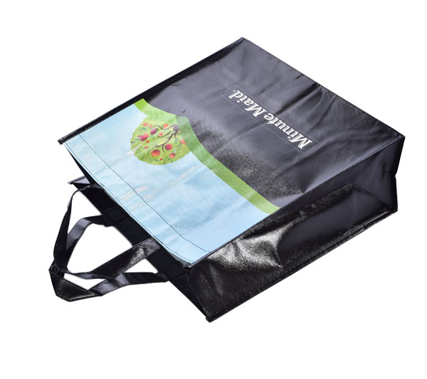 Laminated Non Woven Shopping Bag