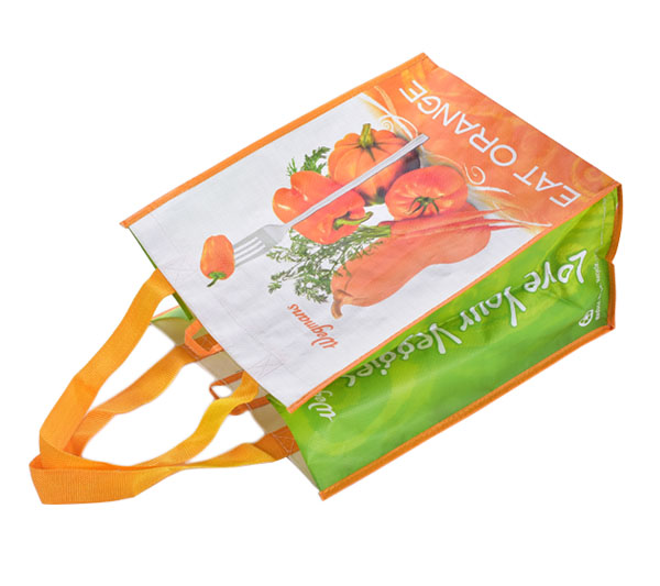 Non Woven Gift Bag