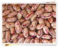 red Kidney beans