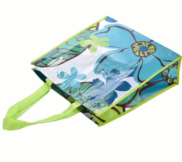 Non Woven Gift Bag