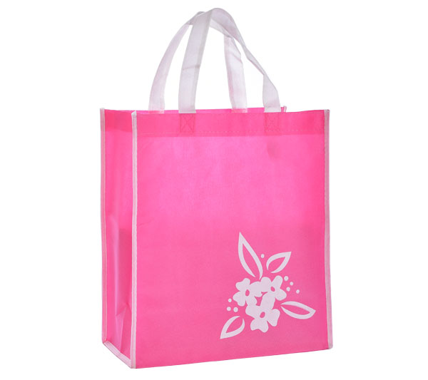 Non Woven Gift Bag