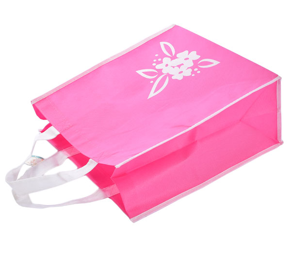 Non Woven Gift Bag