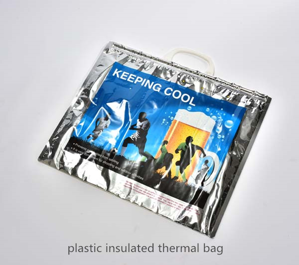 Plastic Isothermal Bag For Froozen Food