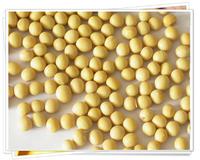 Soya  Beans