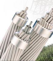Acar Conductor (ACAR)