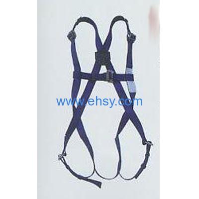 Full body harness