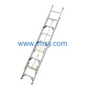 Extension Ladder