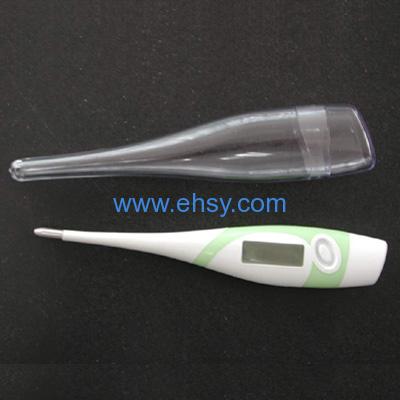 Digital Thermometer