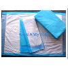 The Absorbent Underpad
