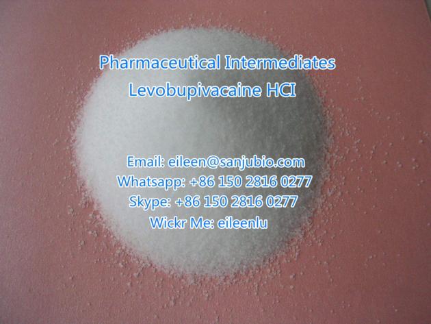 Levobupivacaine HCI High Quality Anesthetic 