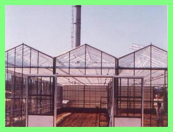 Greenhouse