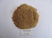 Neutral protease