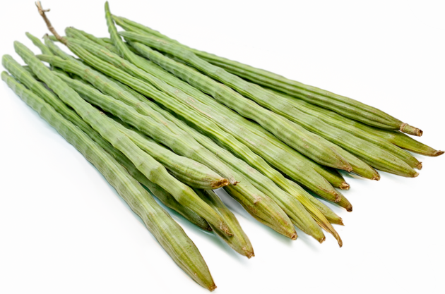 Fresh Drumstick