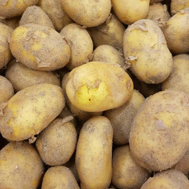 Potatoes
