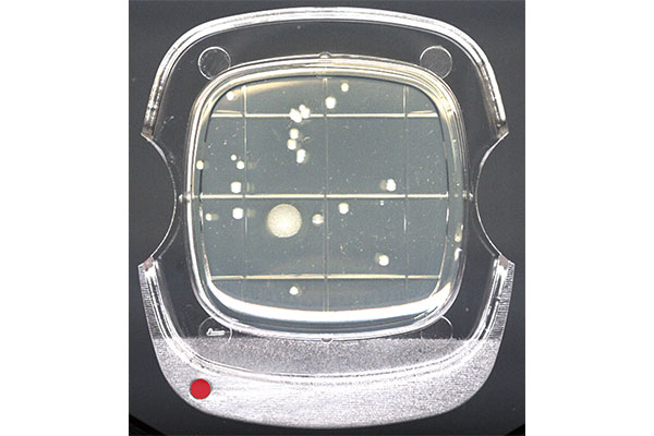Contact Agar Medium 4x4