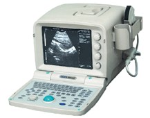 Portable Convex Ultrasound Scanner