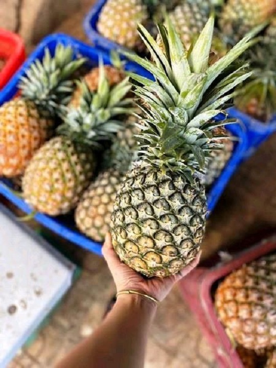 Fresh Pineapple