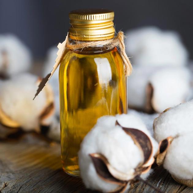 Cotton Seed Oil 