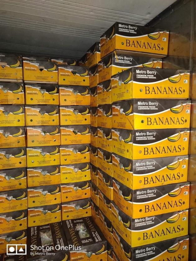 Fresh Banana