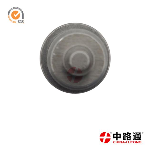 Bosch Fuel Injection Pump Delivery Valve