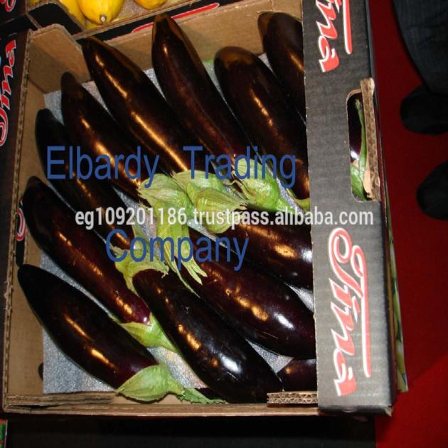 eggplant
