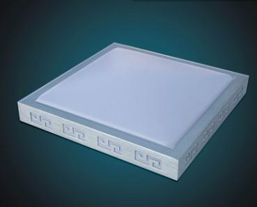 Ceiling  light
