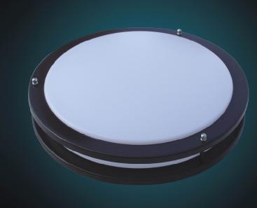 Ceiling  light