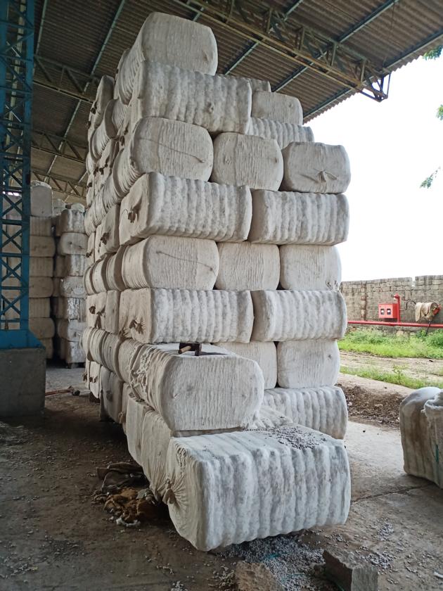 Raw Cotton
