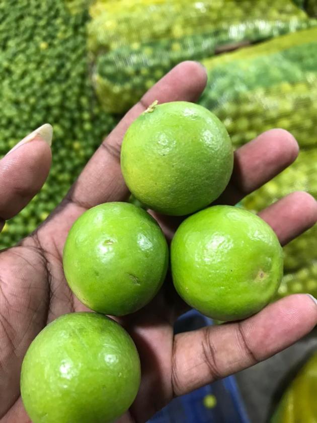 Fresh Green Lemon