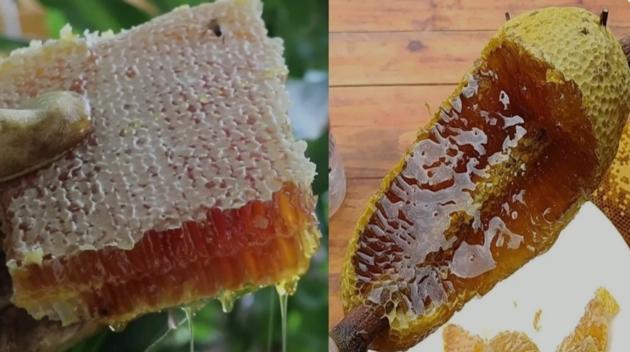 Natural Honey