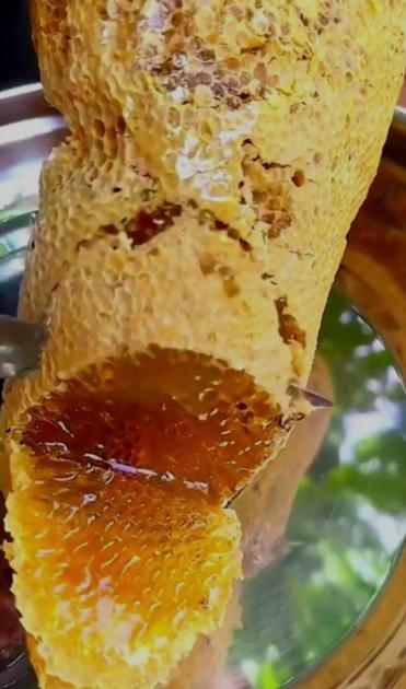 Natural Honey