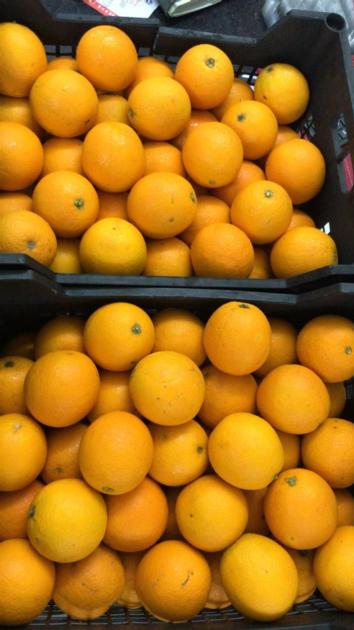 Fresh Orange