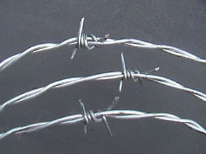 barbed wire