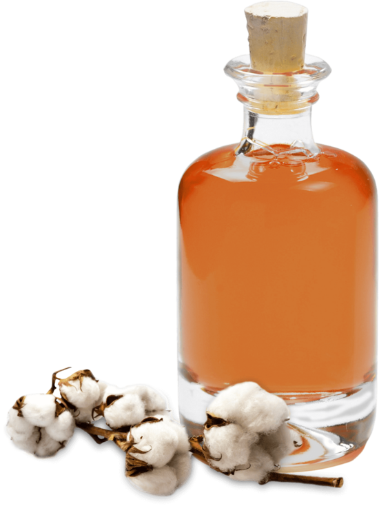 Cotton Seed Oil
