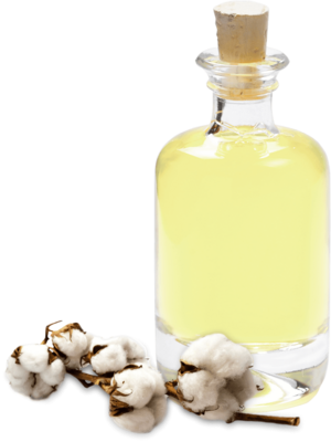 Raw Cotton Products