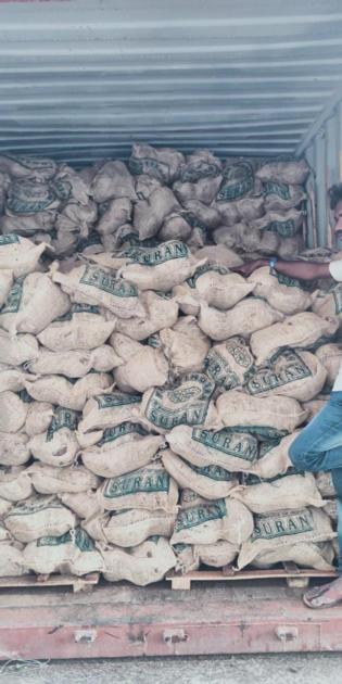 Fresh Elephant Yam