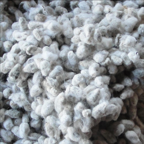 Raw Cotton Products