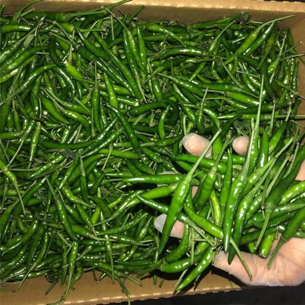 Fresh Green Chillies 