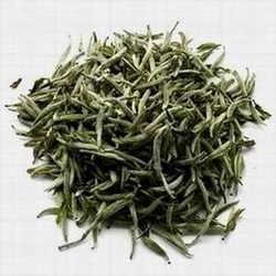 White Silver Needle