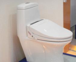 Computerized Auto Body-cleaning Toilet Seats
