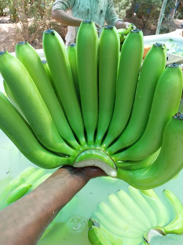 Fresh Banana